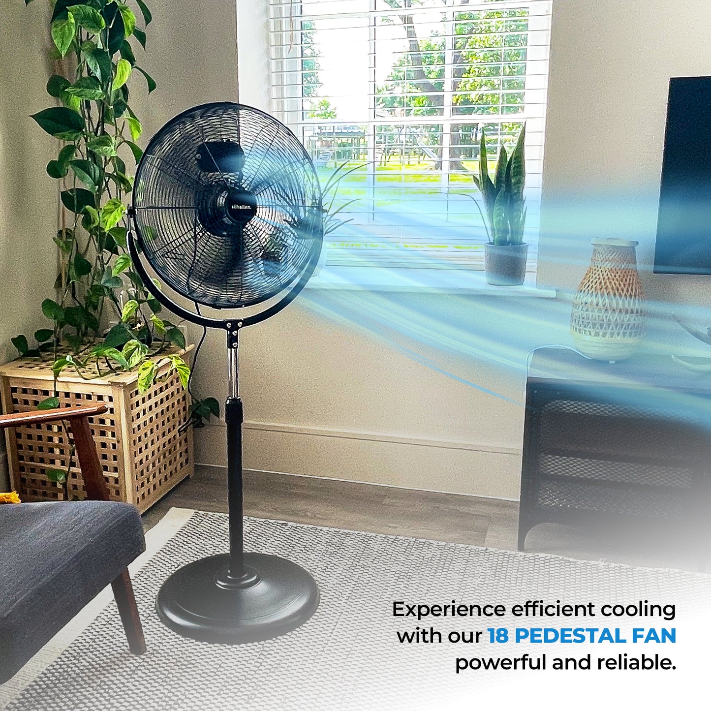 Schallen 18" 300° Rotation High Velocity Pedestal Floor Standing Fan in BLACK