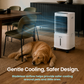 Schallen Portable Air Cooler with Humidifier & Air Purifier, 10L Water Tank, 3 Speed & Mode Settings, Remote Control + 2 Ice Packs